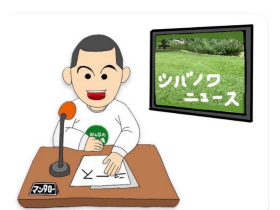 シバノワ週刊ニュース