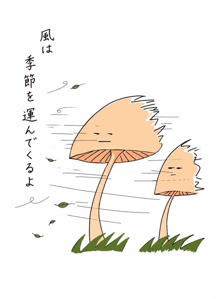 キコノワ 風